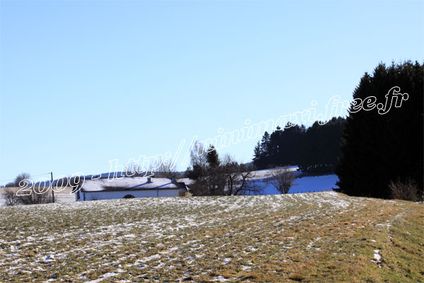 EssaisAtkinson (47)